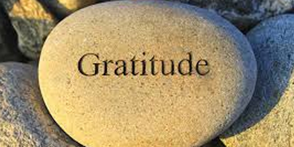 Gratitude and Perspective