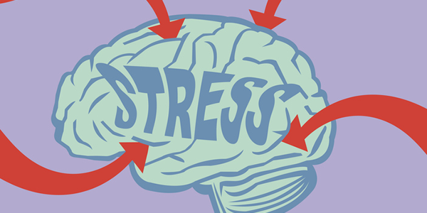 How Stress Affects the Brain